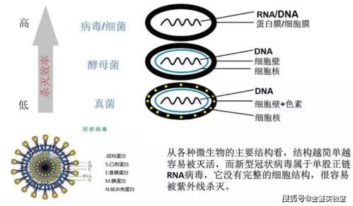 uv led紫外线杀菌效果该怎么评估